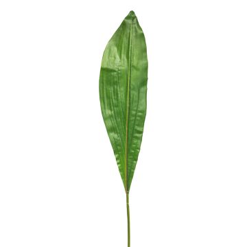 Foglia decorativa giglio a mazza XIANGAN, verde, 90cm