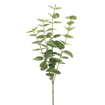 Ramo artificiale di eucalipto MINJIA, verde, 65 cm