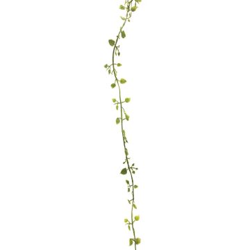 Ghirlanda artificiale Muehlenbeckia JIAMIN, verde-grigio, 240 cm