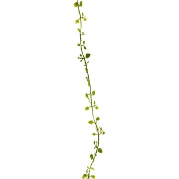 Ghirlanda artificiale di Muehlenbeckia JIAMIN, verde, 240 cm Ghirlanda artificiale di Muehlenbeckia JIAMIN, verde, 240 cm