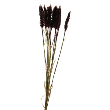 Mazzo di grano in plastica YANGMEI, rosso bordeaux, 55 cm