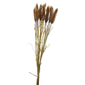 Mazzo di grano in plastica YANGMEI, color pesca, 55 cm