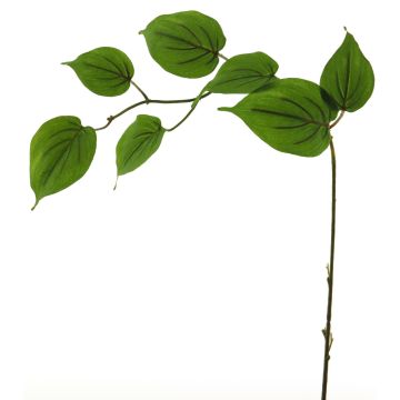Ramo artificiale di corniolo SHUNNAN, verde, 75 cm Ramo artificiale di corniolo SHUNNAN, verde, 75 cm