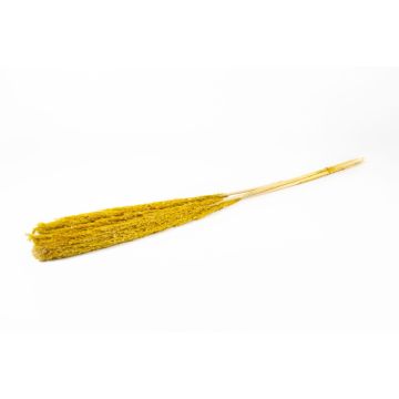 Fascio di canne secche DONJETA, giallo, 115-120 cm, Ø 15 cm