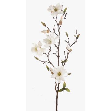Magnolia artificiale LILO, crema, 75cm, Ø5-9cm