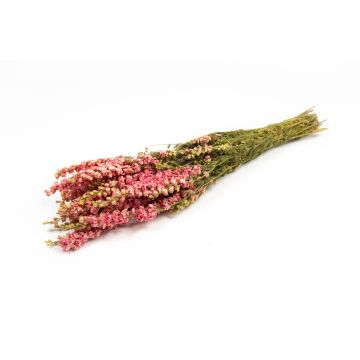 Mazzo di fiori secchi di delfinio AITHANA, rosa-crema, 70 cm, Ø 18 cm Mazzo di fiori secchi di delfinio AITHANA, rosa-crema, 70 cm, Ø 18 cm
