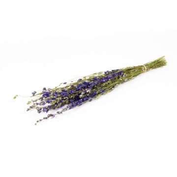 Mazzo di fiori secchi Delphinium AITHANA, blu-verde, 70 cm, Ø 18 cm Mazzo di fiori secchi Delphinium AITHANA, blu-verde, 70 cm, Ø 18 cm