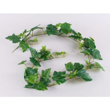 Ghirlanda di vite in plastica NOAH, verde, 150cm Ghirlanda di vite in plastica NOAH, verde, 150cm
