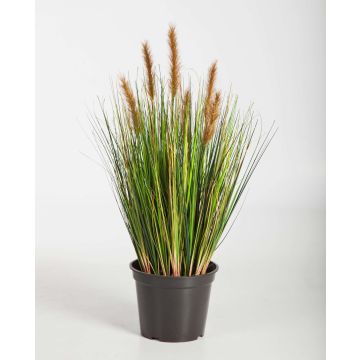 Erba artificiale di coda di volpe FELIX con pannocchie, verde-marrone, 60cm