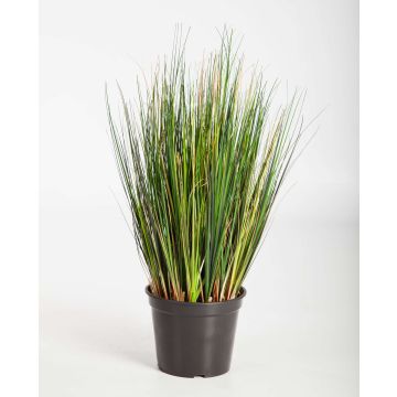 Erba artificiale di coda di volpe FELIX, verde, 60cm