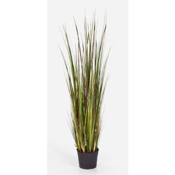 Erba artificiale di coda di volpe SATRIO, verde-giallo-marrone, 120cm