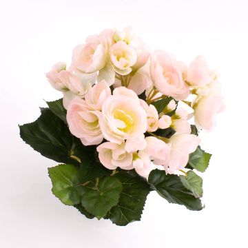 Begonia di plastica IVANA su stelo, rosa-bianco, 20cm, Ø3-5cm