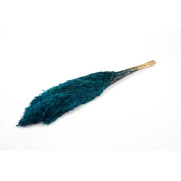 Fascio di canne secche DONJETA, petrolio, 70-80 cm, Ø 15 cm