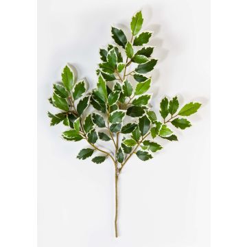Ramo finto di Ficus Benjamini AJITH, verde-bianco, 45cm