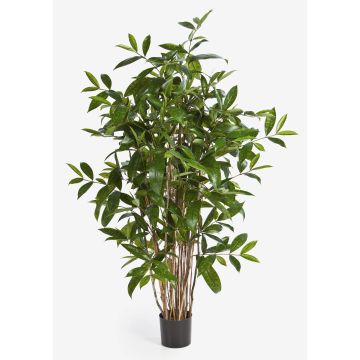 Dracaena Surculosa finta SIMBA, tronchi naturali, verde, 90cm