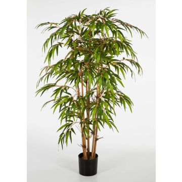Pianta di bambù di plastica HIROSHI, fusti naturali di bambù, 90cm Pianta di bambù di plastica HIROSHI, fusti naturali di bambù, 90cm
