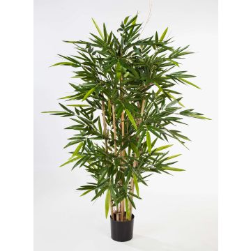Bambù artificiale TARIK, fusti veri, 150 cm Bambù artificiale TARIK, fusti veri, 150 cm