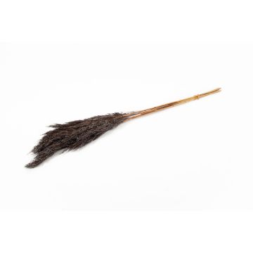 Fascio di canne secche DONJETA, marrone-argento, 70-80 cm, Ø 15 cm
