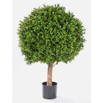 Bosso finto TOM, tronco vero, 95cm, Ø80cm