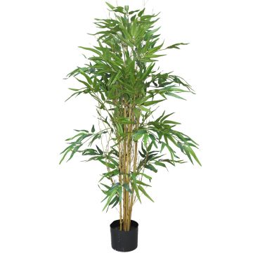 Albero in bambù sintetico WANNING, tronchi autentici, 120 cm Albero in bambù sintetico WANNING, tronchi autentici, 120 cm