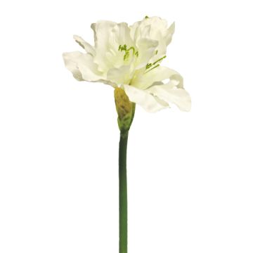 Fiore decorativo Amaryllis HEJIA, color crema, 60 cm Fiore decorativo Amaryllis HEJIA, color crema, 60 cm