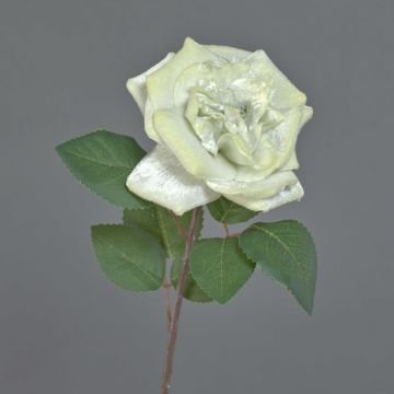 Rosa in tessuto YUFAN, color crema, 45 cm, Ø 13 cm Rosa in tessuto YUFAN, color crema, 45 cm, Ø 13 cm
