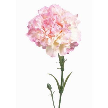 Garofano finto VANERA, rosa-bianco, 60cm, Ø8cm Garofano finto VANERA, rosa-bianco, 60cm, Ø8cm
