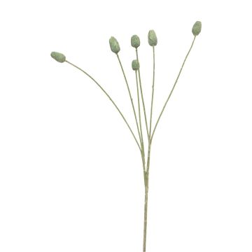 Ramo decorativo di cardo SUANYI, verde, 65 cm