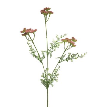 Ramo decorativo di achillea YISUAN, rosa, 50 cm, Ø 6 cm