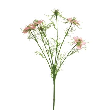 Ramo decorativo di cumino nero TIANKE, rosa-crema, 65 cm, Ø 7-8 cm Ramo decorativo di cumino nero TIANKE, rosa-crema, 65 cm, Ø 7-8 cm