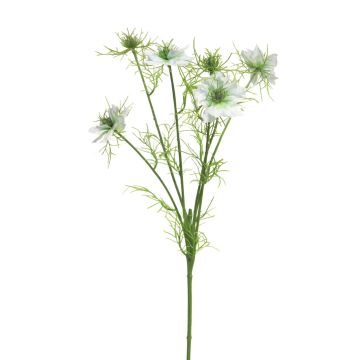 Ramo decorativo di cumino nero TIANKE, azzurro, 65 cm, Ø 7-8 cm Ramo decorativo di cumino nero TIANKE, azzurro, 65 cm, Ø 7-8 cm