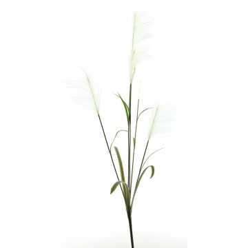 Ramo decorativo di erba della pampa LINEN con pannocchie, bianco, 145 cm Ramo decorativo di erba della pampa LINEN con pannocchie, bianco, 145 cm