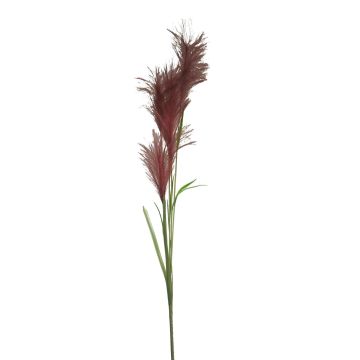 Ramo decorativo di erba della pampa LINEN con pannocchie, rosso bordeaux, 145 cm Ramo decorativo di erba della pampa LINEN con pannocchie, rosso bordeaux, 145 cm