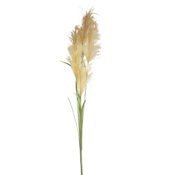 Ramo decorativo di erba della pampa LINEN con pannocchie, beige-marrone, 145 cm Ramo decorativo di erba della pampa LINEN con pannocchie, beige-marrone, 145 cm