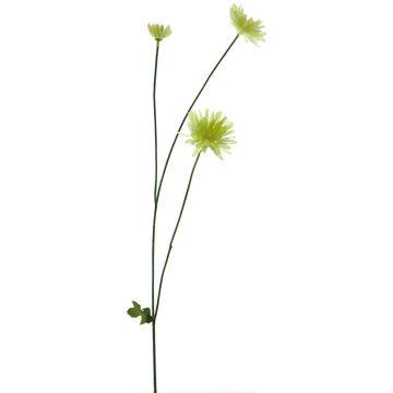 Fiore decorativo: crisantemo YUNJUAN, color crema, 60cm Fiore decorativo: crisantemo YUNJUAN, color crema, 60cm