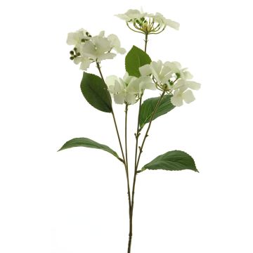 Fiore artificiale ortensia PINNIAN, bianco, 70cm, Ø9-10cm Fiore artificiale ortensia PINNIAN, bianco, 70cm, Ø9-10cm