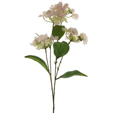Fiore artificiale ortensia PINNIAN, rosa pallido-crema, 70cm, Ø9-10cm Fiore artificiale ortensia PINNIAN, rosa pallido-crema, 70cm, Ø9-10cm