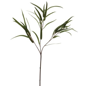 Ramoscello di eucalipto in plastica ZIYUMU con semi, verde, 80 cm Ramoscello di eucalipto in plastica ZIYUMU con semi, verde, 80 cm