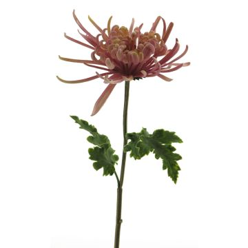 Fiore artificiale, crisantemo YASULI, rosa-lavanda, 70 cm, Ø 18 cm Fiore artificiale, crisantemo YASULI, rosa-lavanda, 70 cm, Ø 18 cm