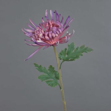 Fiore artificiale Crisantemo YASULI, viola-malva, 70 cm, Ø 18 cm Fiore artificiale Crisantemo YASULI, viola-malva, 70 cm, Ø 18 cm