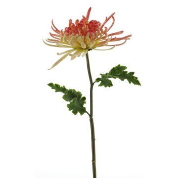 Fiore artificiale, crisantemo YASULI, rosa-giallo, 70 cm, Ø 18 cm Fiore artificiale, crisantemo YASULI, rosa-giallo, 70 cm, Ø 18 cm