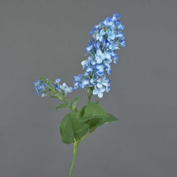 Fiore decorativo lilla NAJUAN, blu, 80cm, Ø6-8cm Fiore decorativo lilla NAJUAN, blu, 80cm, Ø6-8cm