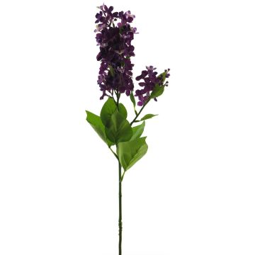 Fiore decorativo lilla NAJUAN, lilla scuro, 80cm, Ø6-8cm