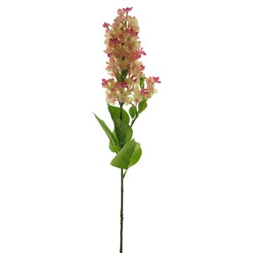 Fiore decorativo lilla NAJUAN, fucsia-crema, 80cm, Ø6-8cm