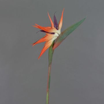 Strelitzia artificiale ZAMIRA, arancione-viola, 95cm, 16x30cm