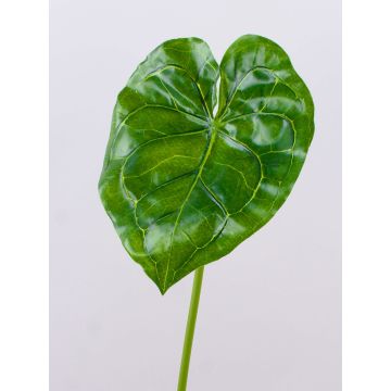 Foglia decorativa di Anthurium GÜLSAH, verde, 65 cm Foglia decorativa di Anthurium GÜLSAH, verde, 65 cm