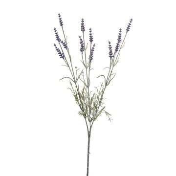Ramo artificiale di lavanda JELLE, viola, 70 cm Ramo artificiale di lavanda JELLE, viola, 70 cm