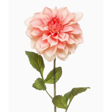Fiore artificiale dalia REFOLG, color pesca, 70cm Fiore artificiale dalia REFOLG, color pesca, 70cm