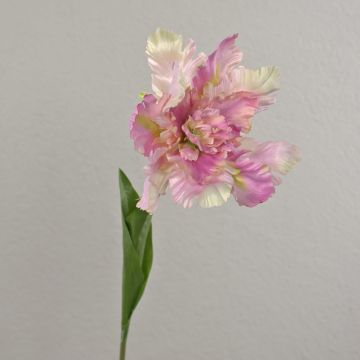 Fiore decorativo tulipano pappagallo ALISCHA, lilla-crema, 70 cm, Ø 19 cm Fiore decorativo tulipano pappagallo ALISCHA, lilla-crema, 70 cm, Ø 19 cm