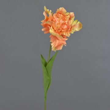 Fiore decorativo tulipano pappagallo ALISCHA, pesca-giallo, 70 cm, Ø 19 cm Fiore decorativo tulipano pappagallo ALISCHA, pesca-giallo, 70 cm, Ø 19 cm
